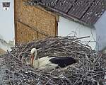 Capi_Dubne_20260513_132504.jpg