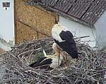 Capi_Dubne_20260513_140502.jpg