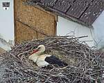 Capi_Dubne_20260513_144003.jpg
