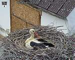 Capi_Dubne_20260513_150003.jpg