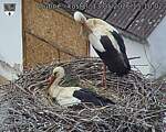 Capi_Dubne_20260513_151002.jpg