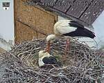 Capi_Dubne_20260513_153003.jpg