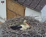 Capi_Dubne_20260513_161003.jpg
