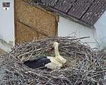 Capi_Dubne_20260513_161503.jpg