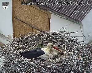 Capi_Dubne_20260513_162003.jpg (1350&nbsp;x&nbsp;1080)
