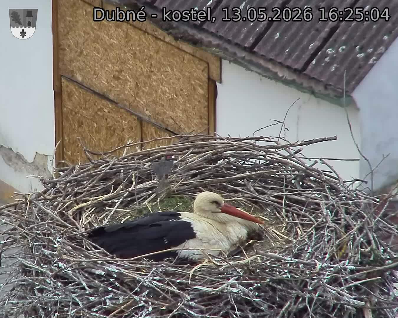 preload