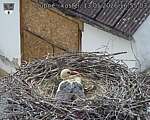 Capi_Dubne_20260513_165503.jpg