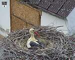 Capi_Dubne_20260513_171003.jpg