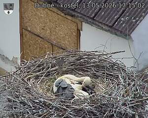 preload