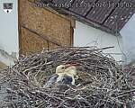 Capi_Dubne_20260513_181002.jpg