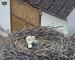 Capi_Dubne_20260513_182504.jpg