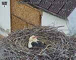 Capi_Dubne_20260513_184003.jpg