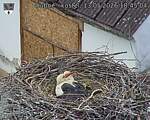 Capi_Dubne_20260513_184504.jpg