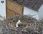 Capi_Dubne_20260513_185003.jpg
