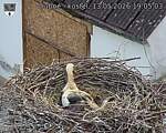 Capi_Dubne_20260513_190503.jpg