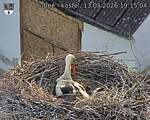 Capi_Dubne_20260513_191504.jpg