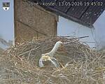 Capi_Dubne_20260513_194502.jpg