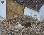 Capi_Dubne_20260513_200002.jpg