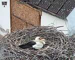 Capi_Dubne_20260513_203003.jpg