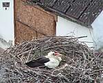 Capi_Dubne_20260513_203503.jpg