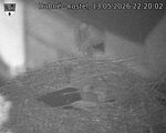 Capi_Dubne_20260513_222002.jpg