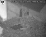 Capi_Dubne_20260513_222502.jpg
