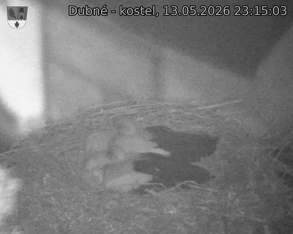 preload