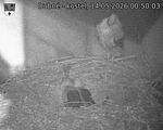 Capi_Dubne_20260514_005003.jpg