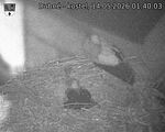 Capi_Dubne_20260514_014003.jpg