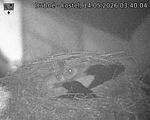 Capi_Dubne_20260514_034004.jpg