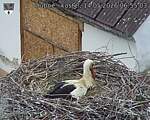 Capi_Dubne_20260514_065503.jpg