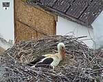 Capi_Dubne_20260514_070004.jpg