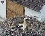 Capi_Dubne_20260514_071004.jpg