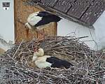 Capi_Dubne_20260514_074003.jpg