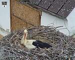 Capi_Dubne_20260514_075003.jpg