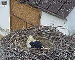 Capi_Dubne_20260514_090502.jpg