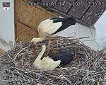 Capi_Dubne_20260514_103503.jpg