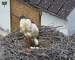 Capi_Dubne_20260514_104003.jpg