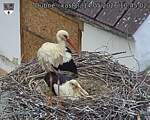 Capi_Dubne_20260514_104502.jpg
