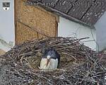 Capi_Dubne_20260514_110503.jpg