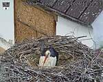 Capi_Dubne_20260514_112003.jpg
