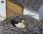 Capi_Dubne_20260514_115003.jpg