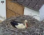 Capi_Dubne_20260514_115502.jpg