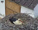 Capi_Dubne_20260514_121003.jpg