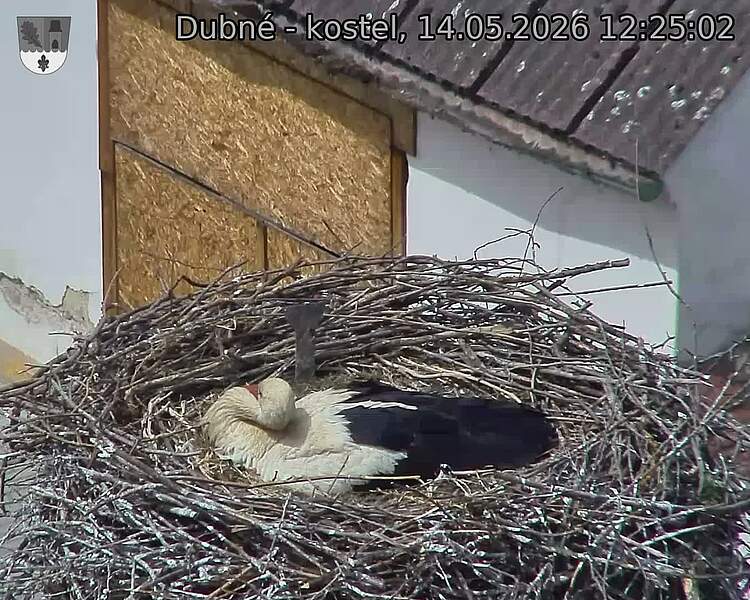 preload