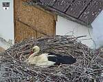 Capi_Dubne_20260514_123003.jpg