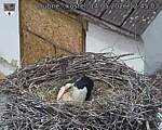 Capi_Dubne_20260514_124503.jpg