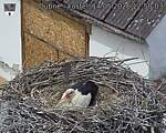 Capi_Dubne_20260514_125003.jpg