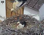 Capi_Dubne_20260514_125502.jpg