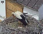 Capi_Dubne_20260514_131003.jpg